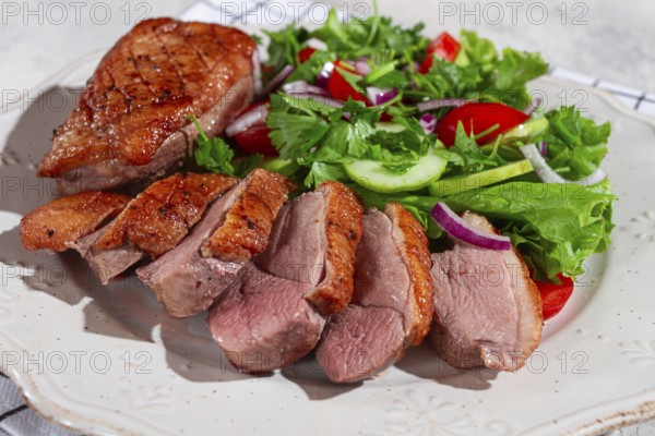 Grilled duck breast is beautifully presented beside a colorful salad of greens, cucumbers,
