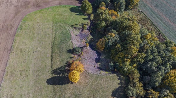 On a clear day, colorful trees stand on the edge of an extinct volcano. The autumn colors bring