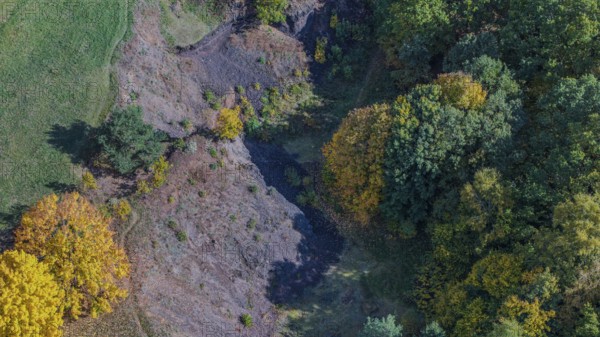 Colourful autumn leaves surround an extinct volcano. The landscape shows bright colors and a