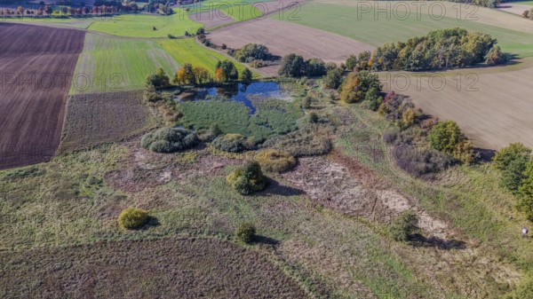 An extensive natural landscape shows a pond surrounded by colorful trees. The fields are green and