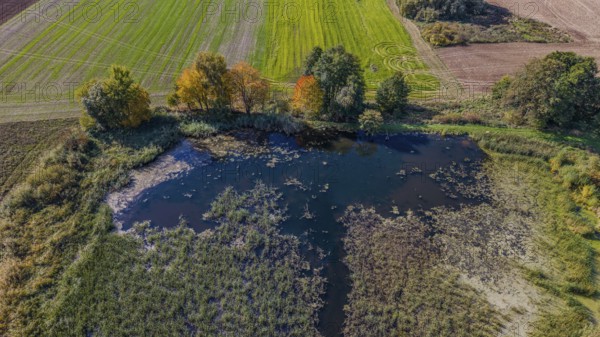 A quiet landscape in autumn shows a small pond surrounded by colorful trees and green meadows. The