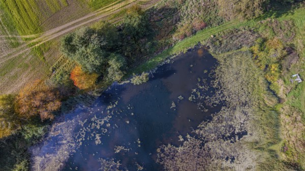 The pond is located in a rural area, surrounded by colorful foliage and green meadows. The sunlight