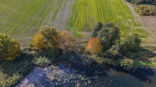 A delightful autumn scene features a green meadow, colorful trees, and a quiet pond. The colors of