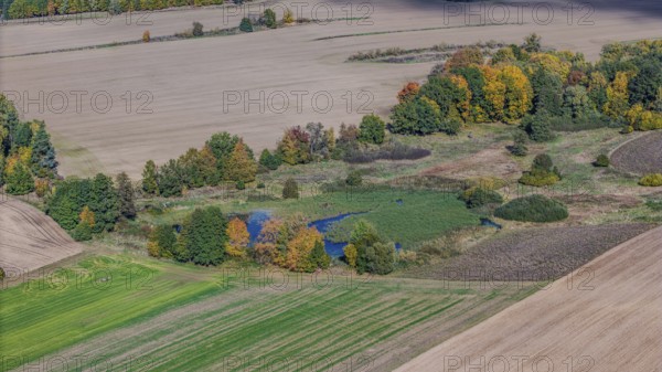 An extensive landscape shows glowing trees next to a small pond in autumn. Fields and meadows