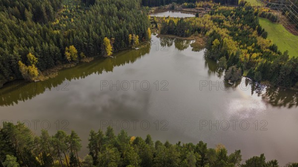 A calm lake is located in a landscape surrounded by trees in autumn. The colors of the leaves are