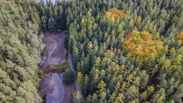 In the forest, the trees are colored in various autumn colors. Small bodies of water are visible,