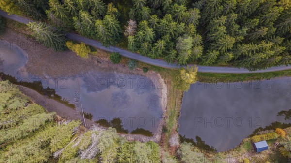 The picture shows two ponds that are surrounded by a forest. A narrow path runs along the ponds,