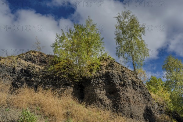 The rocky slope of an extinct volcano is covered with some trees and dry grass. The sky is cloudy