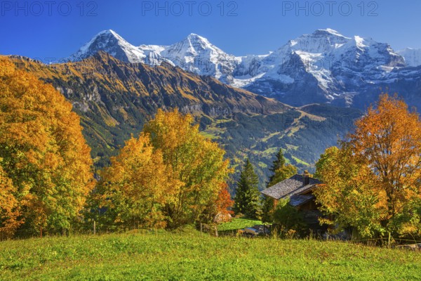 Autumn landscape in the hamlet of Sulwald with Eiger 3967m, Mönch 4110m and Jungfrau 4158m,