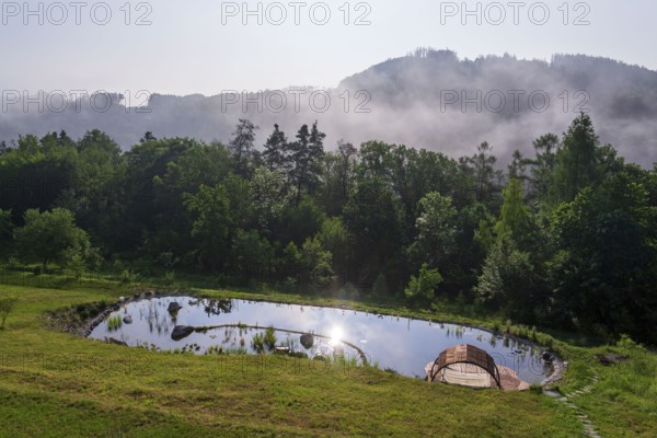 Pretty wooden pier at natural swimming pond or pool, NSP, purifying water without chemicals through