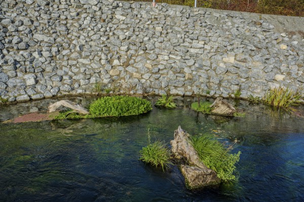 A clear river flows gently between stones. Green plants grow on submerged tree trunks. The sunlight