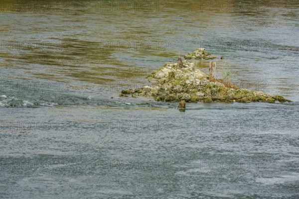 A small island of rocks juts out of the water. It is covered with grass and plants. The river flows
