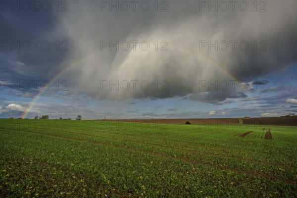 A rainbow stretches over a lush green field, while the clouds in the background gather after the