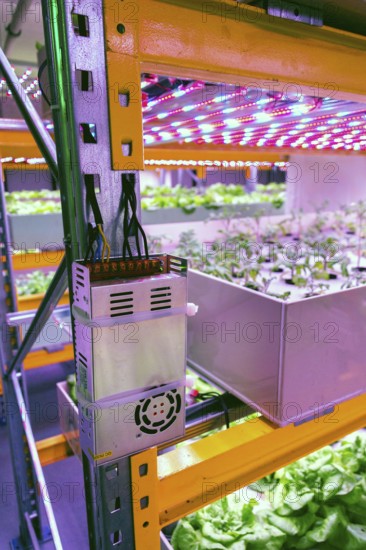Electronics controling aquaponics system that combines fish aquaculture with hydroponics,