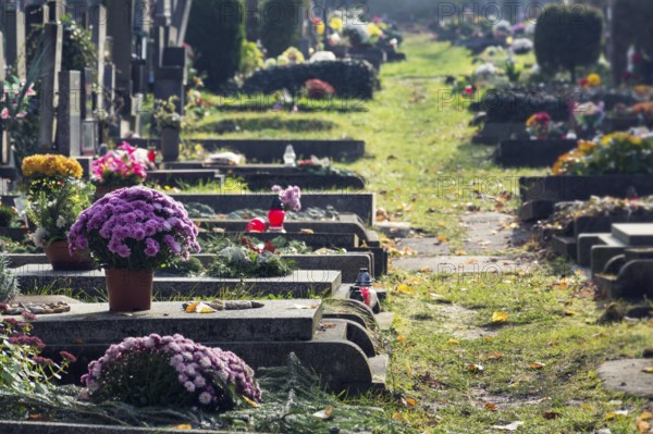 Beautiful flower bunch on graves, autumn on cemetery, Prague, Czech Republic, sunny day, All souls