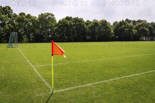 Orange vivid corner flag on fresh green football ground, trees in background, sunny summer day