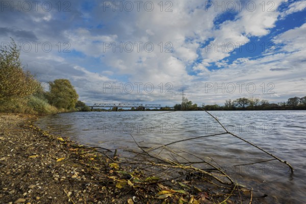 On a cloudy autumn day, the Danube flows calmly. There are branches and leaves on the shore, while