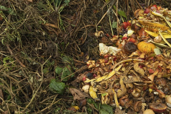 Compost pile made of organic food, leaves, vegetable and fruit Waste mix, Zero waste and Eco