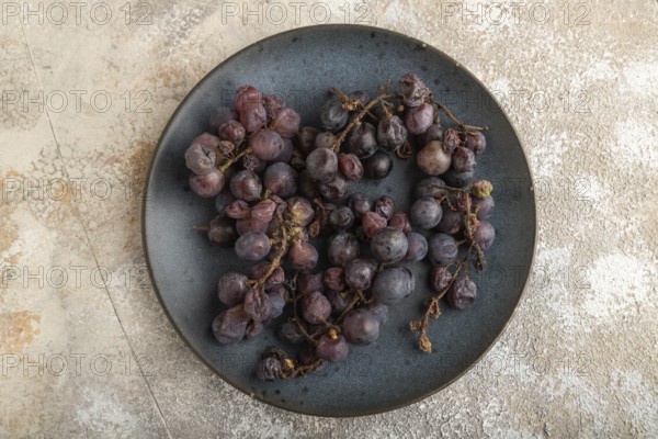 Bunches of rotten and Dry Red wine grapes on blue plate on brown concrete background, harvest,