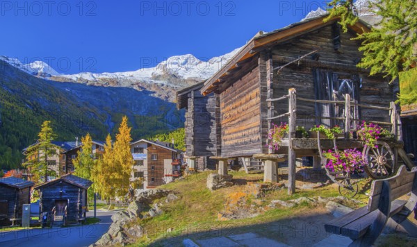 Typical granaries on the outskirts of the village with Allalin 4027m and Alphubel 4206m in autumn,