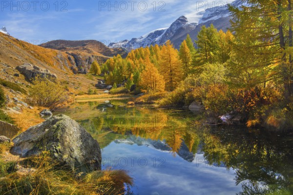 Grindjisee on the 5-lake hiking trail in autumn, Zermatt, Mattertal, Valais, Switzerland