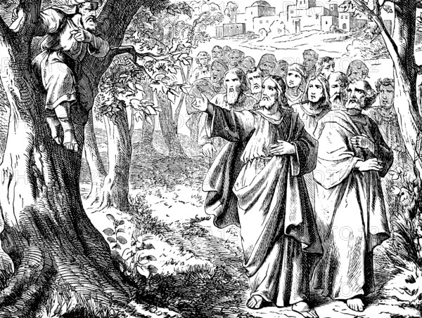 Jesus and the tax collector Zacchaeus on the mulberry tree, Jericho, Gospel of Luke, chapter 19,