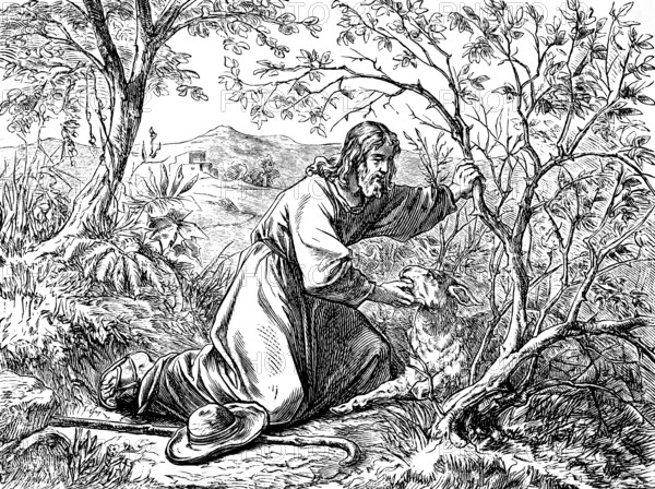 The shepherd and the lost sheep, Gospel of Luke, chapter 15, landscape, farm, forest, search, find,