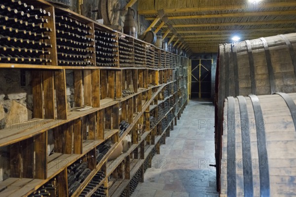 A wine cellar with wooden shelves and large barrels conveys a rustic atmosphere, Hin Areni Winery,