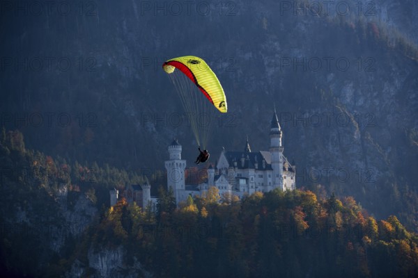 A paraglider flies in front of Neuschwanstein Castle in an autumn landscape, Schwangau, Ostallgäu,