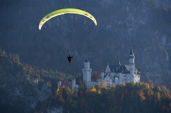 Paraglider flies in front of Neuschwanstein Castle in autumn forest scenery, Schwangau, Ostallgäu,