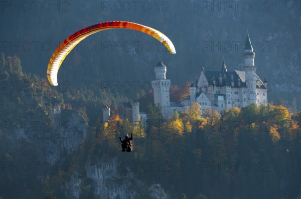 A paraglider floats next to Neuschwanstein Castle in the midst of an autumn landscape, Schwangau,