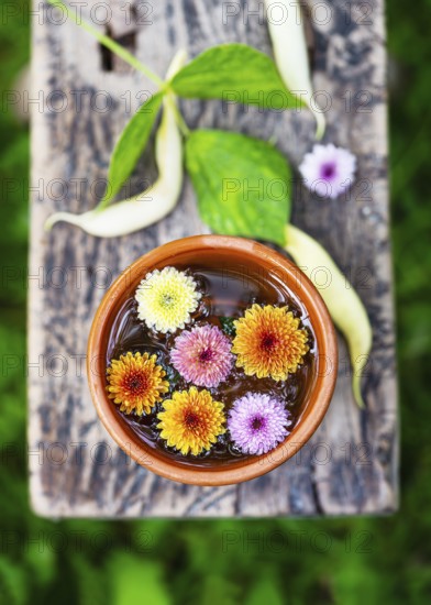 Bright chrysanthemum flowers in shades of yellow, orange and pink in a clay bowl with water. Placed
