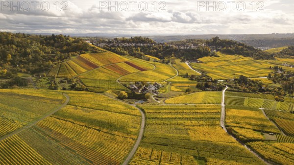 Golden sunset over the glowing autumnal vineyards on the Kappelberg between Fellbach and Stuttgart.