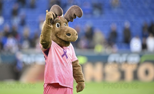 Mascot Hoffie TSG 1899 Hoffenheim in the shirt of TSG 1899 Hoffenheim, special shirt, action