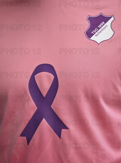 TSG 1899 Hoffenheim logo on jersey, special shirt, campaign against breast cancer, breast cancer