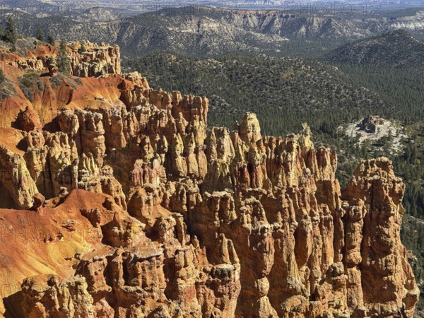 Close-up of textured red rock walls and sweeping views across green valleys, Bryce Canyon National