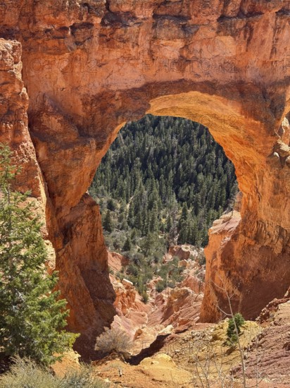 Detailed view through a red rock arch of green vegetation in the canyon, Bryce Canyon National Park