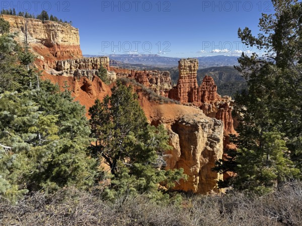 Snowy conifers and impressive red cliffs under a clear blue sky, Bryce Canyon National Park is