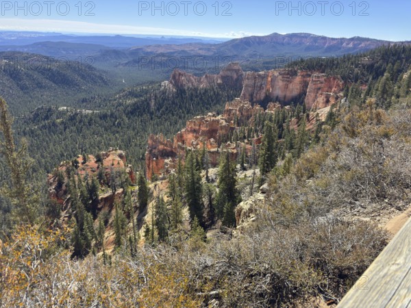 Red rock canyon with pine trees stretching out in nature under a clear sky, Bryce Canyon National