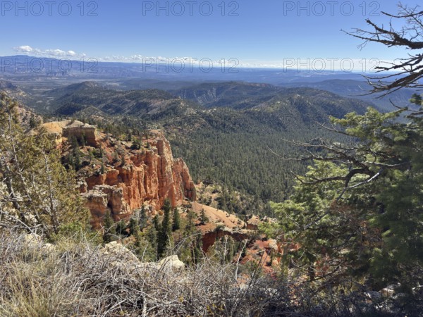 Panoramic view of a mountain landscape with characteristic red rocks and thick vegetation, Bryce