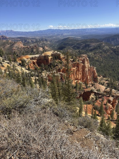 Expansive view of rocky desert landscape with forests and impressive orange sandstone rock