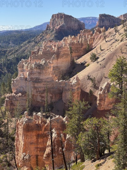 Dramatic rock formations of orange sandstone with pine trees in a vast desert landscape, Bryce