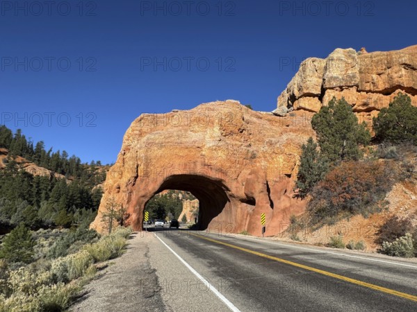 Red sandstone rock arch with a road leading through, in a vast desert landscape, Bryce Canyon