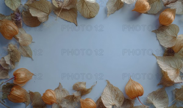 A blue background with a frame of orange leaves. The leaves are scattered around the frame,