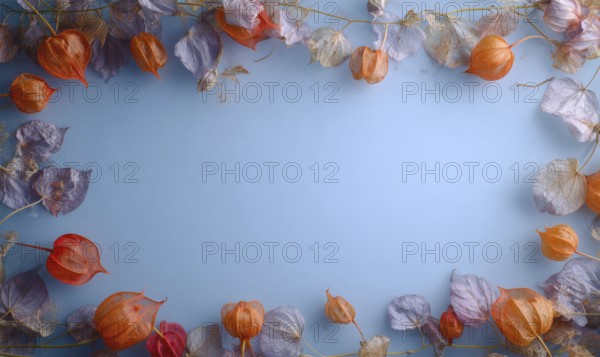 A blue background with a frame of orange and purple flowers. The flowers are arranged in a way that
