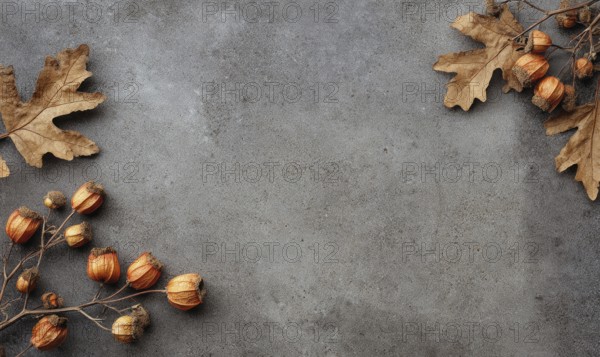 A grey background with a few leaves and some small orange fruits. The leaves are scattered around