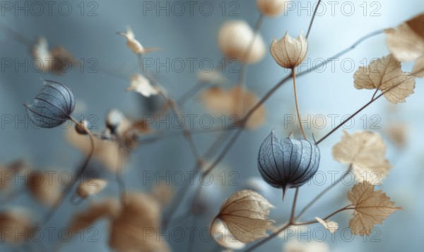 A close up of a branch with flowers and leaves. The flowers are blue and the leaves are brown. The
