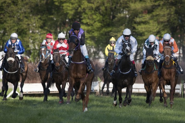 WROCLAW, POLAND - APRIL 24, 2016: Race with fences for 4-year old horses a Racecourse WTWK