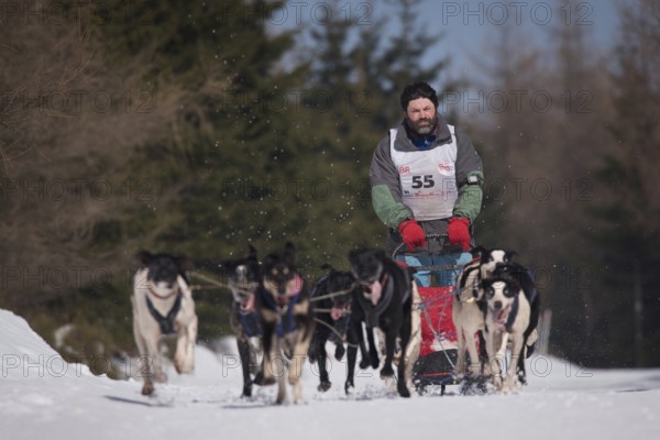 JAKUSZYCE, POLAND - MARCH 16, 2016: Pavel Pfeifer during International Sled Dog Race Border Rush