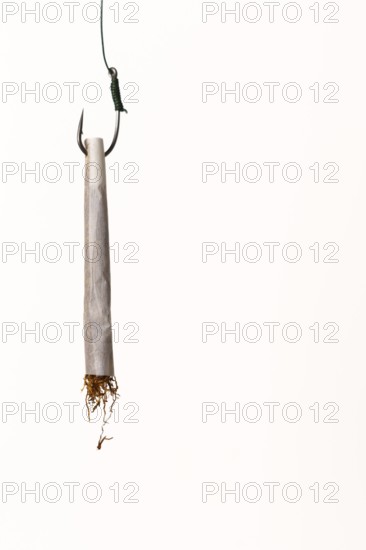Hand rolled cigarette acting as bait on a fishing hook, symbolizing addiction, danger, and the